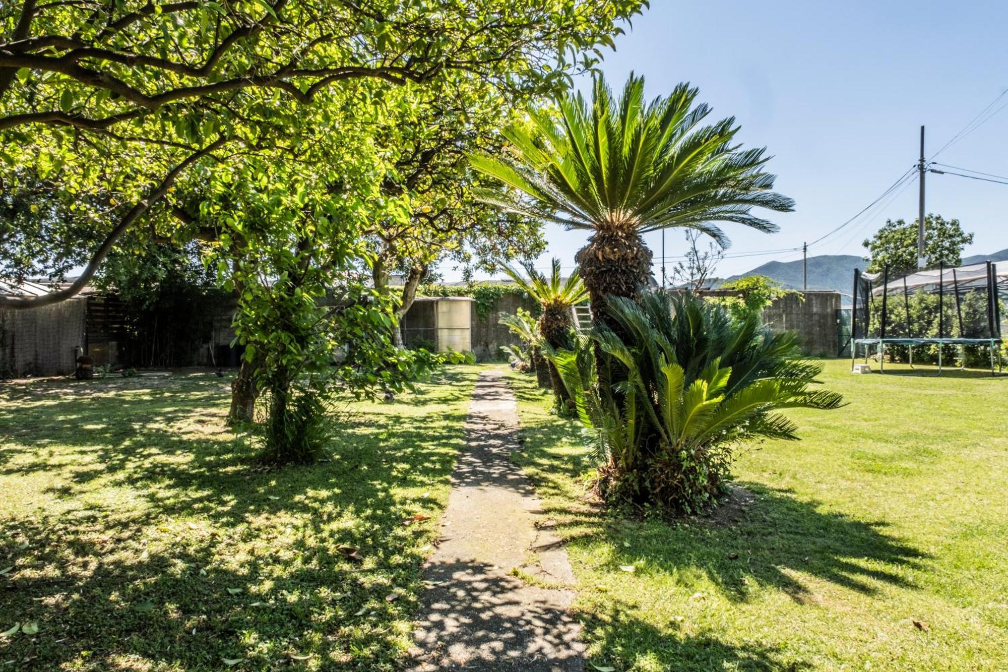 Agriturismo Giorgi Appartamenti In Riviera Ligure Albenga Exteriör bild